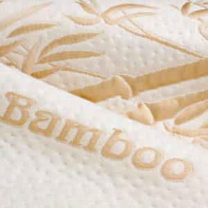 BAMBOO