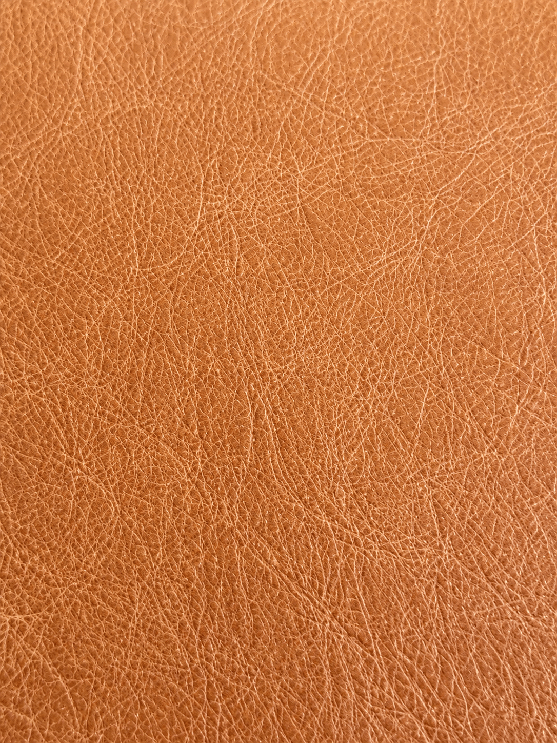 .SOFT CUIO 01 PULL UP - LIGHT PINE MADE IN ITALY - obrazek 2